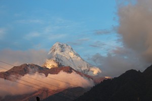 IMG_2536